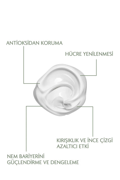 Herbest Anti Aging + Aydınlatıcı Gece Kremi Set